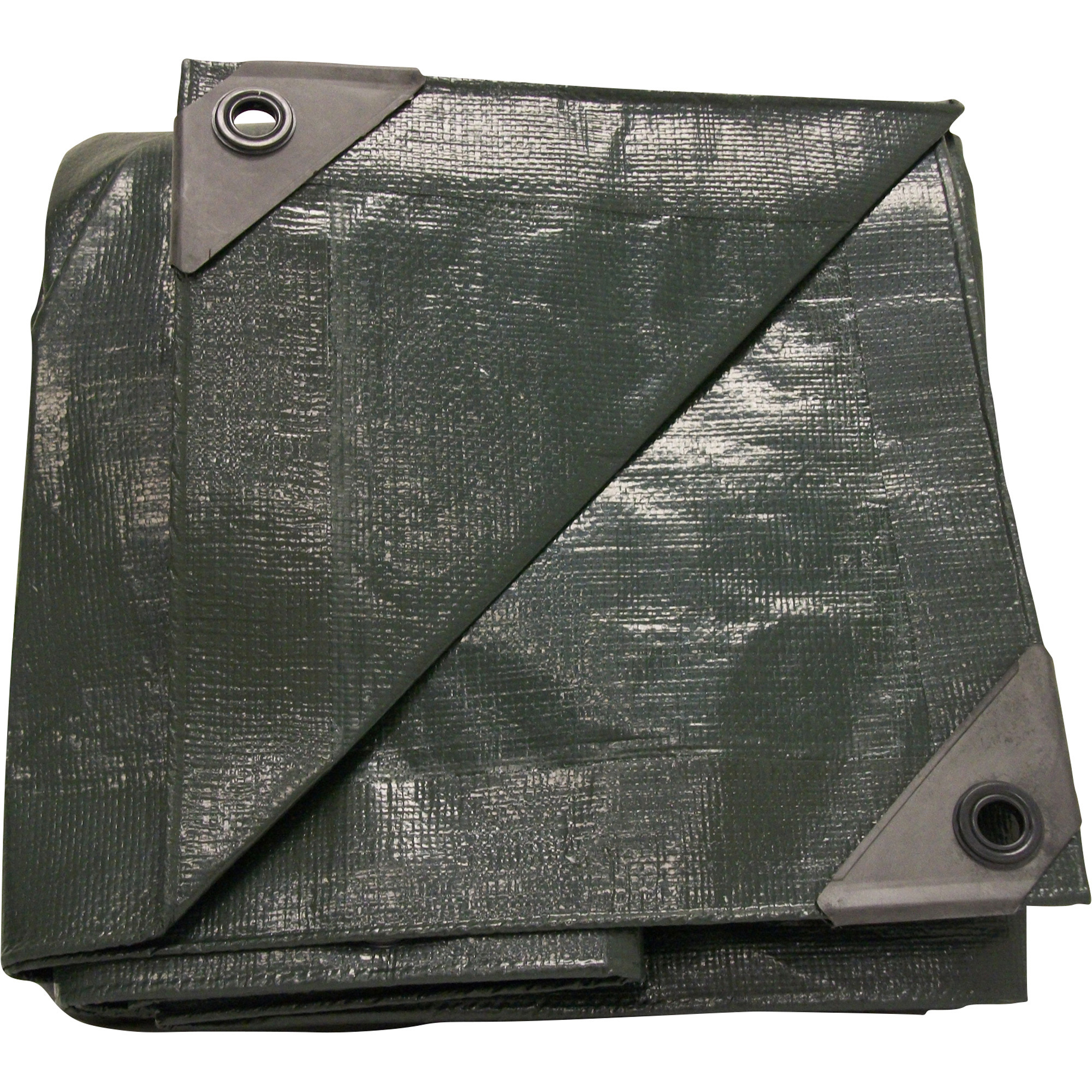 Dize Heavy-Duty Poly Tarp, Green, 10ft. x 13ft., Model# HG1013